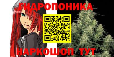 стафф Бугуруслан