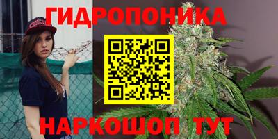 стафф Бугуруслан